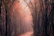 利物浦深夜大捷，英超青年训练营鼓舞斗志