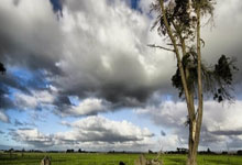 瑟维利亚主教练禁存利物浦并提出传授