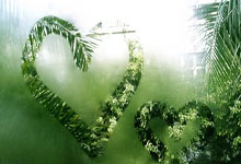 火爆拼搏！国际篮球顶尖球员交锋