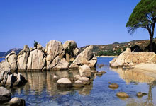 捷克队实力超群，欧锦赛披荆斩棘